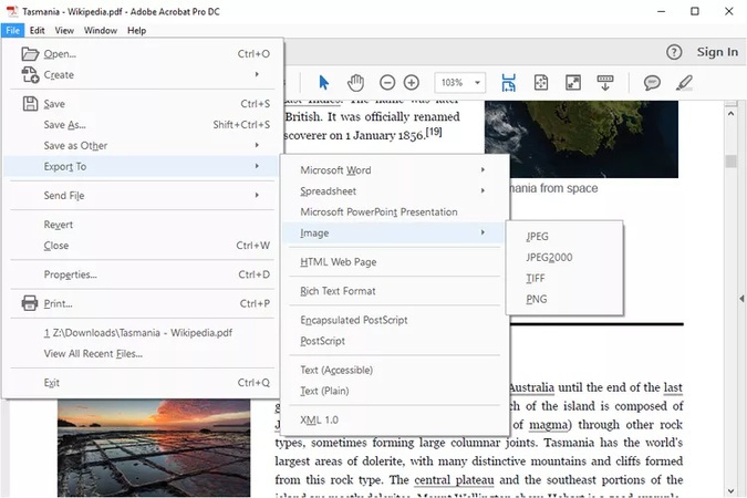 export pdf as image