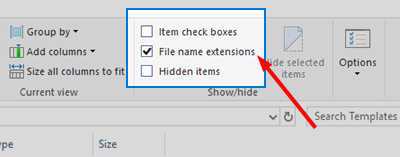 file name extension