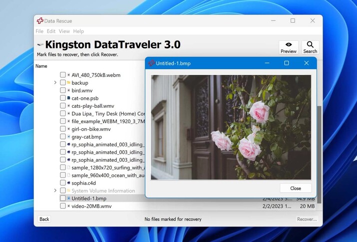 recover the data from data rescue
