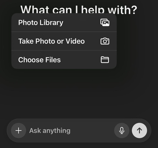chatgpt mobile app add files botton
