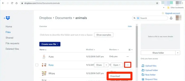 download zero bytes files from dropbox