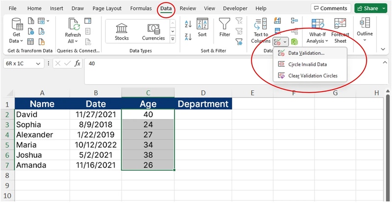 excel data validation option