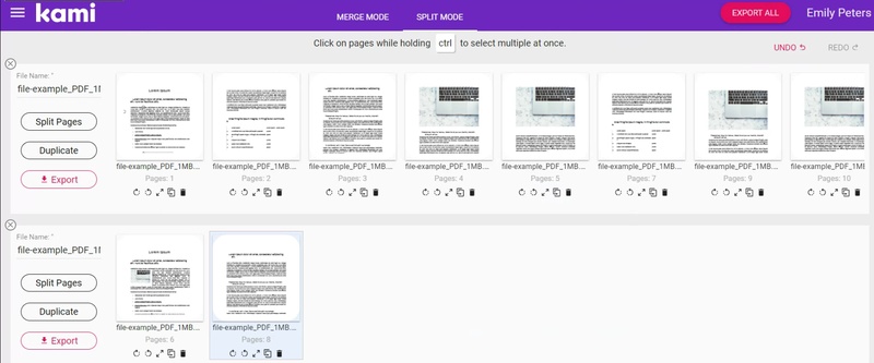 kami pdf viewer extension