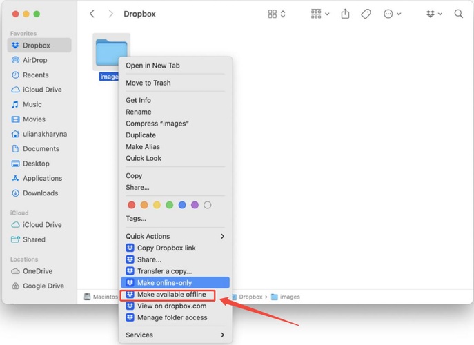 make dropbox file available offline to fix zero bytes issue