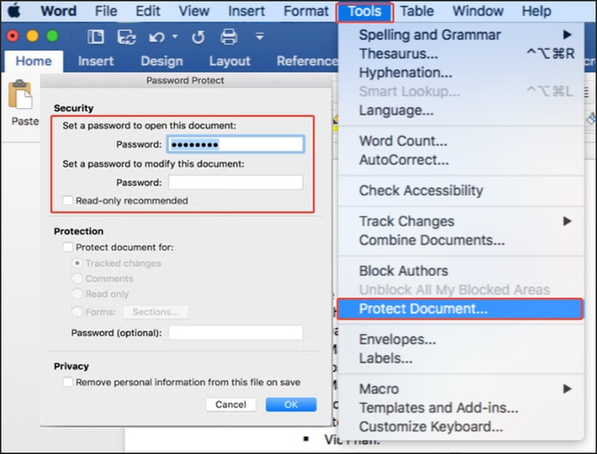 password protect word document on mac