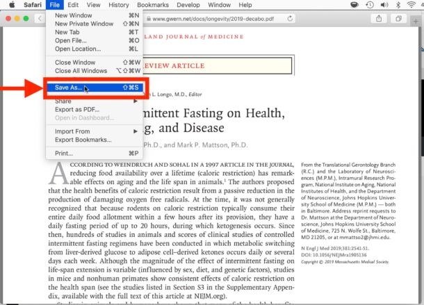 save pdf to webpages in safari reading view
