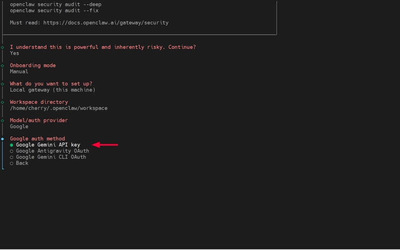 select openclaw ai provider