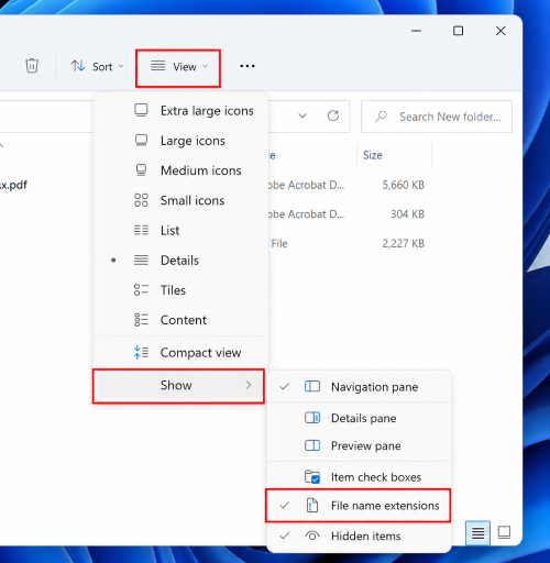 show file name extensions in file explorer