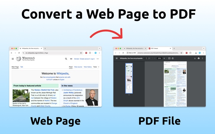 web to pdf converter extension