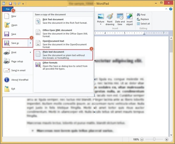 wordpad save rtf as plain text document