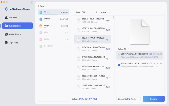 review duplicate files scanned