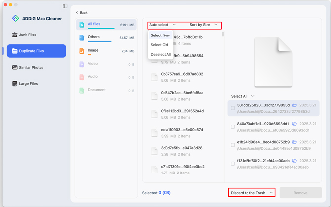 review duplicate files scanned