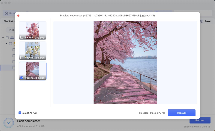 preview and recover files by 4ddig for mac