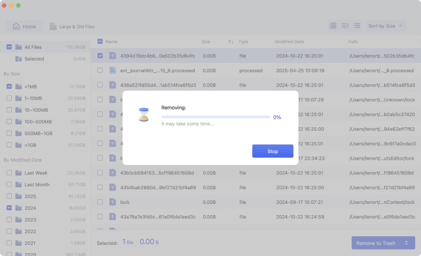 removing the large file