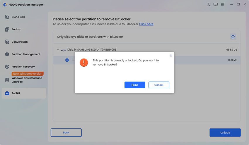 select disk partition to unlock