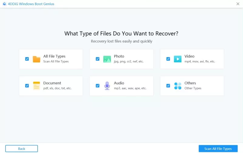 choose file type to recover