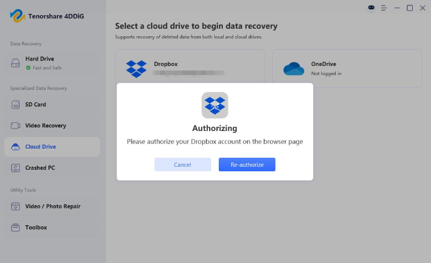 authorizing the dropbox