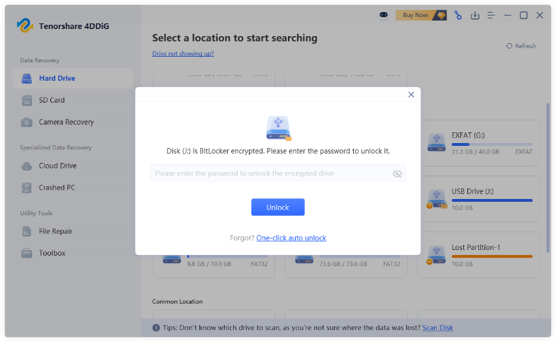 enter password to unlock the drive