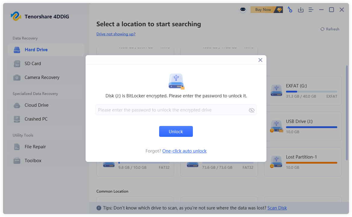 enter password to unlock the drive