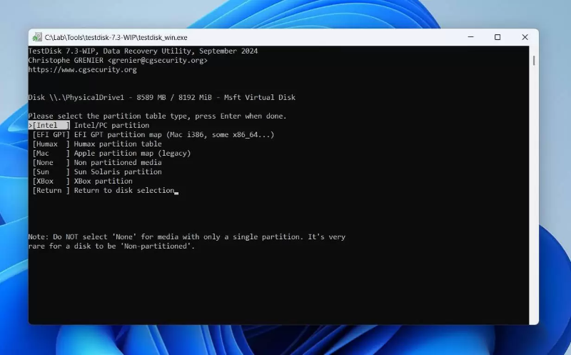 select the partition table type