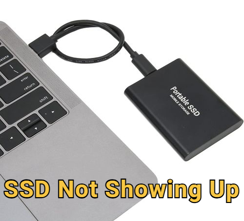 ssd not showing up in windows 10 and 11