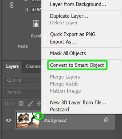 Convertir le calque de l'image en objet dynamique