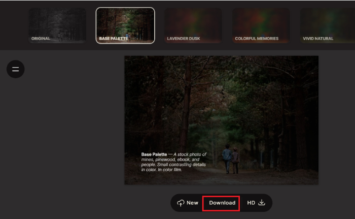 how to colorize black and white photos online-3