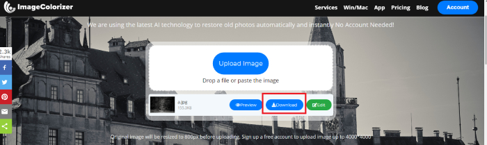 how to colorize black and photos with image colorizer-3