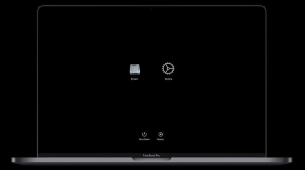 to enter safe mode