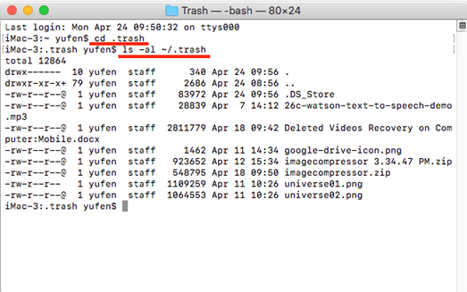 use terminal