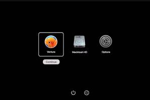 downgrade macos without losing data