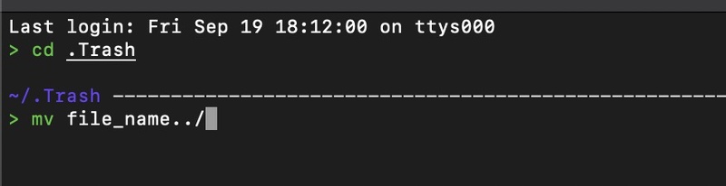 Terminal-Befehle zur Wiederherstellung fehlender Dateien verwenden