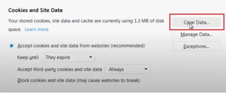 remove firefox browser history