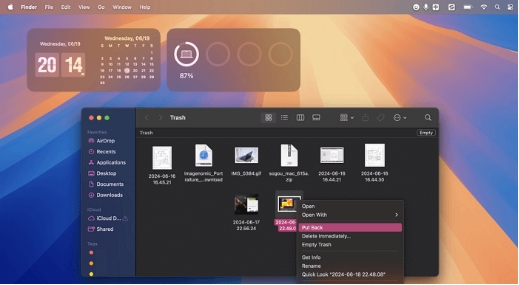 휴지통 폴더에 액세스하기를 통해 소니 ARW 파일 복구