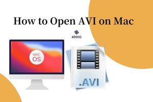 8 Fixes How to Open AVI on Mac 2024