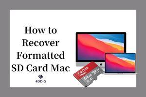 recover formatted sd card mac
