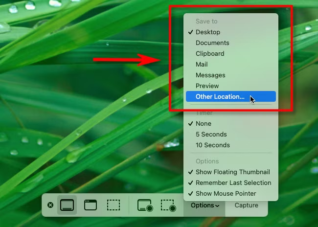 check current screenshot save location