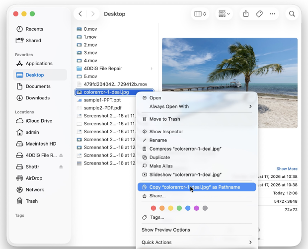 copy a file path in finder directly