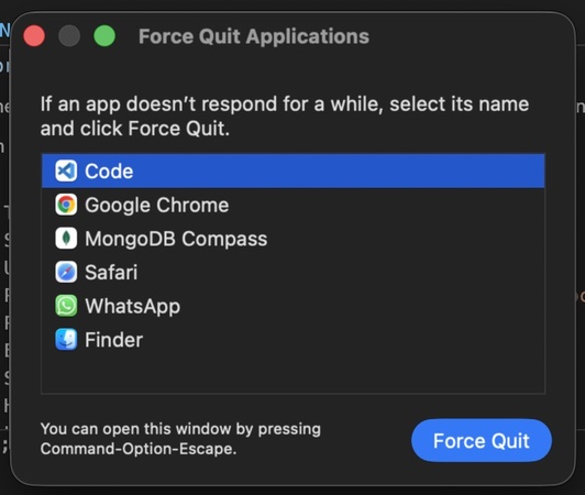 force quit the app on mac