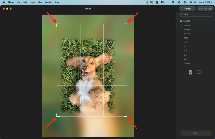 ajustar la configuración para expandir la foto en mac