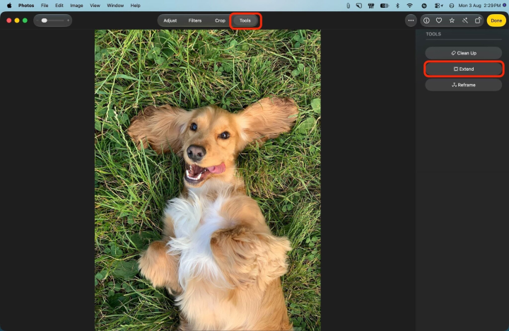 seleccionar expandir desde la app fotos
