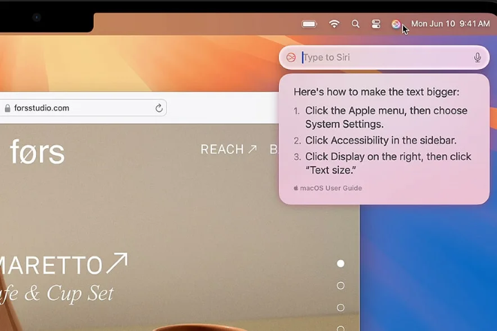 usar inteligencia visual con siri