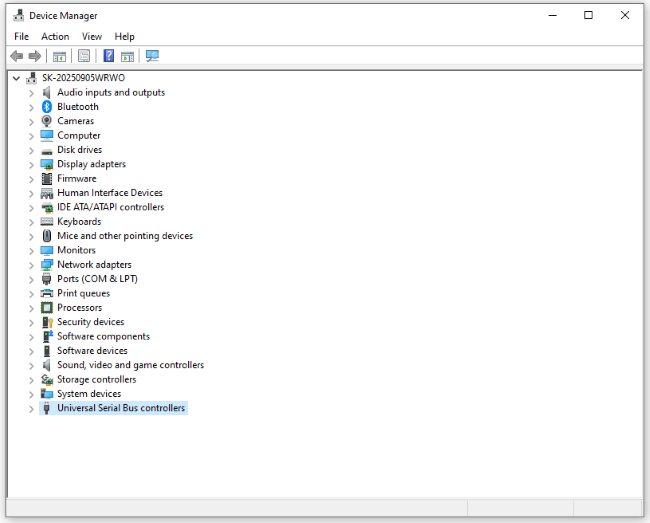 universal serial bus controllers
