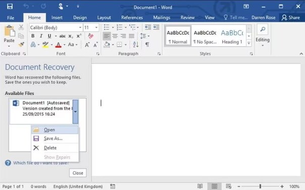 document Recovery section