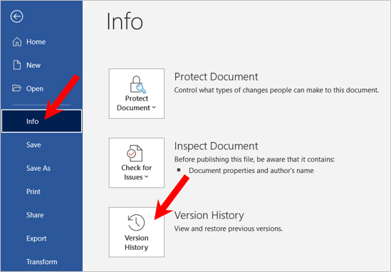 word version history