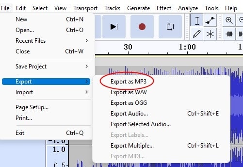 audacity extract mp3 from mkv