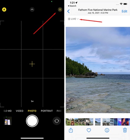 fix motion from this live photo is not supported