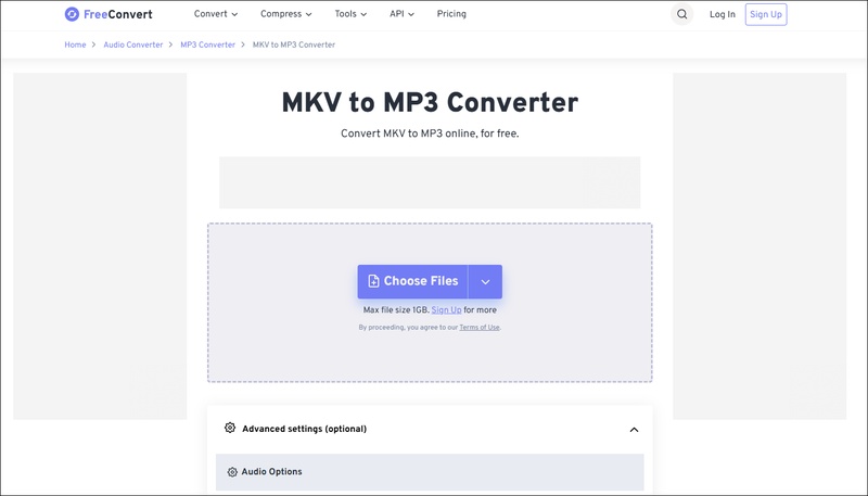 freeconvert mkv to mp3 converter