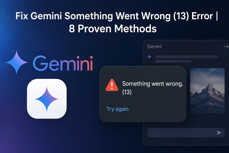 gemini something went wrong 13