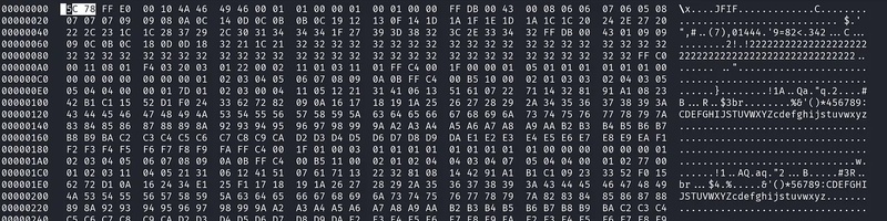 hxd healthy jpeg header